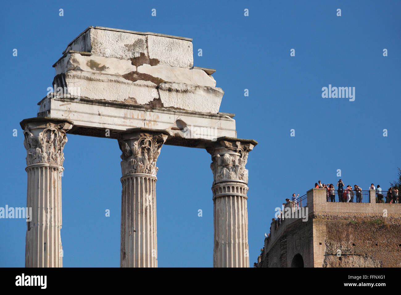 Der Tempel des Castor und Pollux auf dem Forum Romanum und dem Palatin-Hügel im Hintergrund (Forum Romanum, Foro Romano) Stockfoto