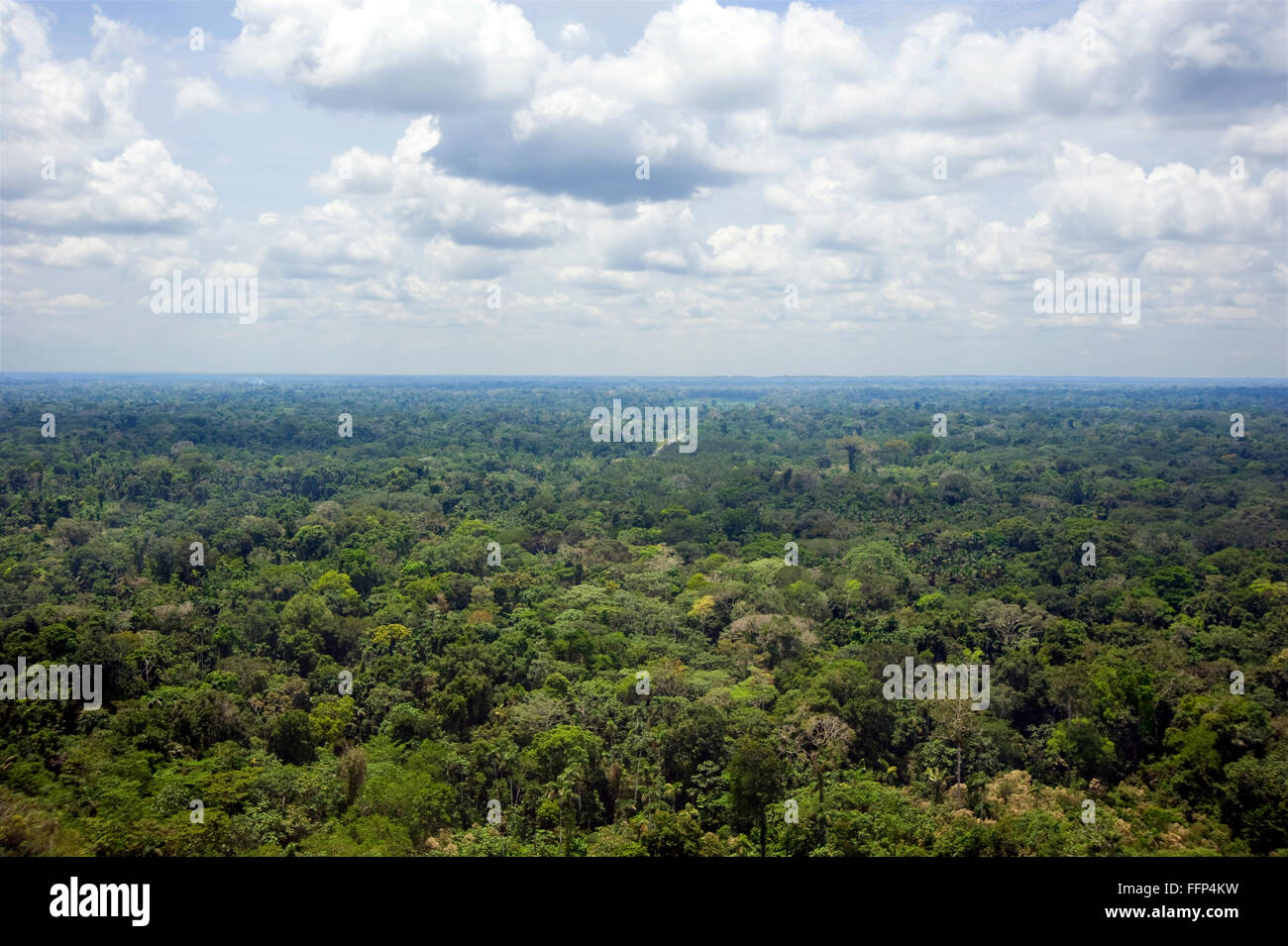 Luftaufnahme der Amazonas-Regenwald Stockfoto