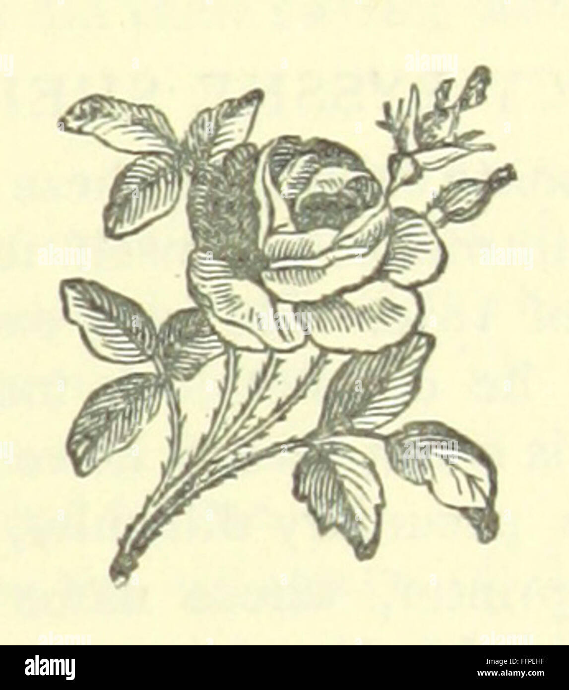 The Poetical Works of Percy Bysshe Shelley ist eine Sammlung von Shelleys Gedichten, einschließlich Werken aus den Originalausgaben, herausgegeben und kommentiert von R. H. Shepherd. Es gibt Einblicke in die literarischen Beiträge und den Stil des romantischen Dichters. Stockfoto