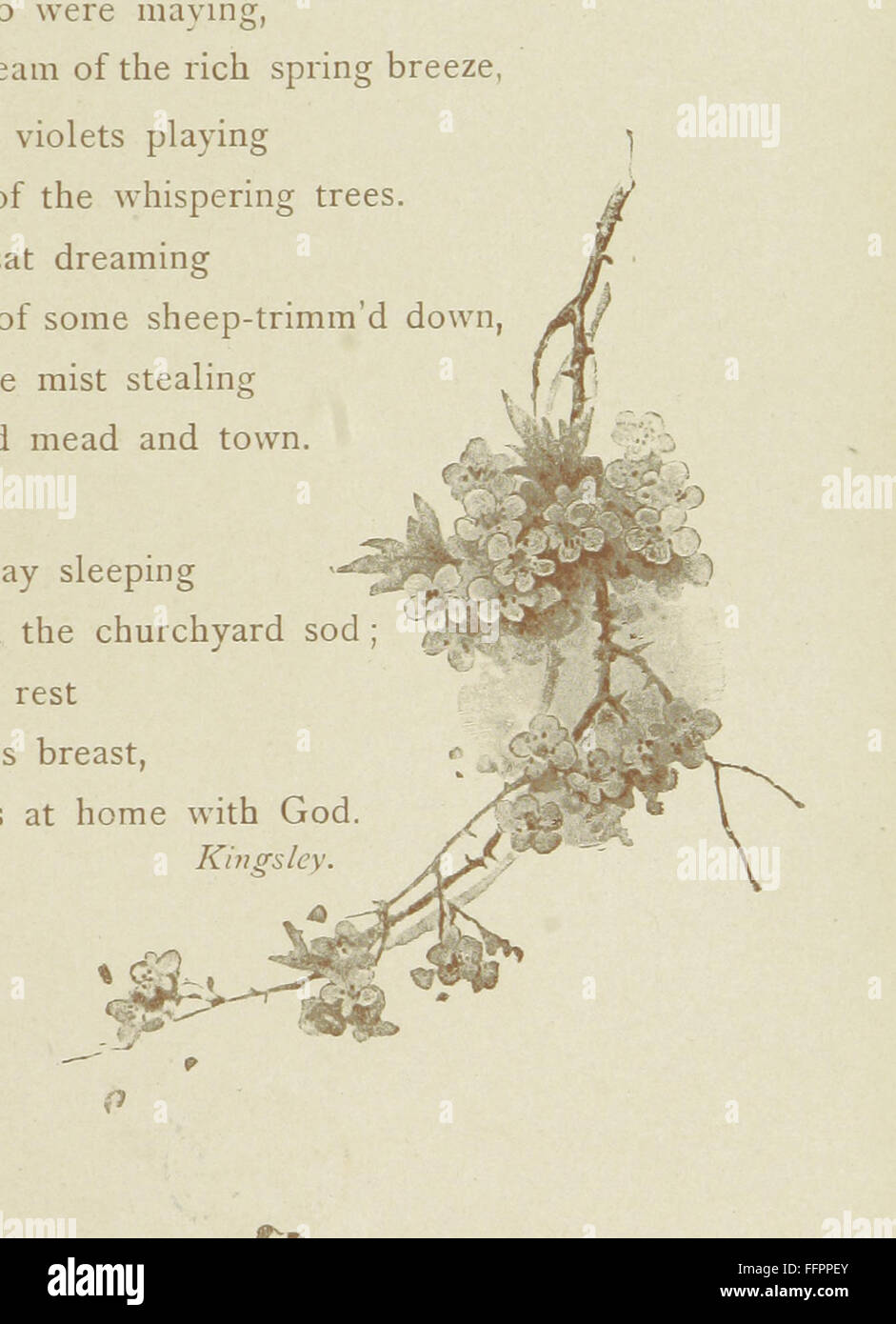 Eine kuratierte Sammlung von Gedichten verschiedener Dichter, ausgewählt wegen ihrer lyrischen Schönheit und kulturellen Bedeutung. Das Buch enthält eine Einführung von F.E. Weatherly und Illustrationen zu den Gedichten. Stockfoto