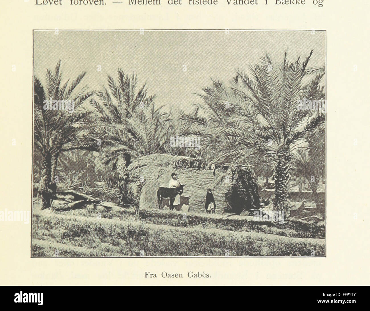 Diese dänische Memoiren erzählen von den Erfahrungen des Autors mit den Troglodyten in Südtunesien, insbesondere dem Kalifa von Matmata. Sie bietet Einblicke in ihren einzigartigen Lebensstil und ihre Bräuche. Stockfoto