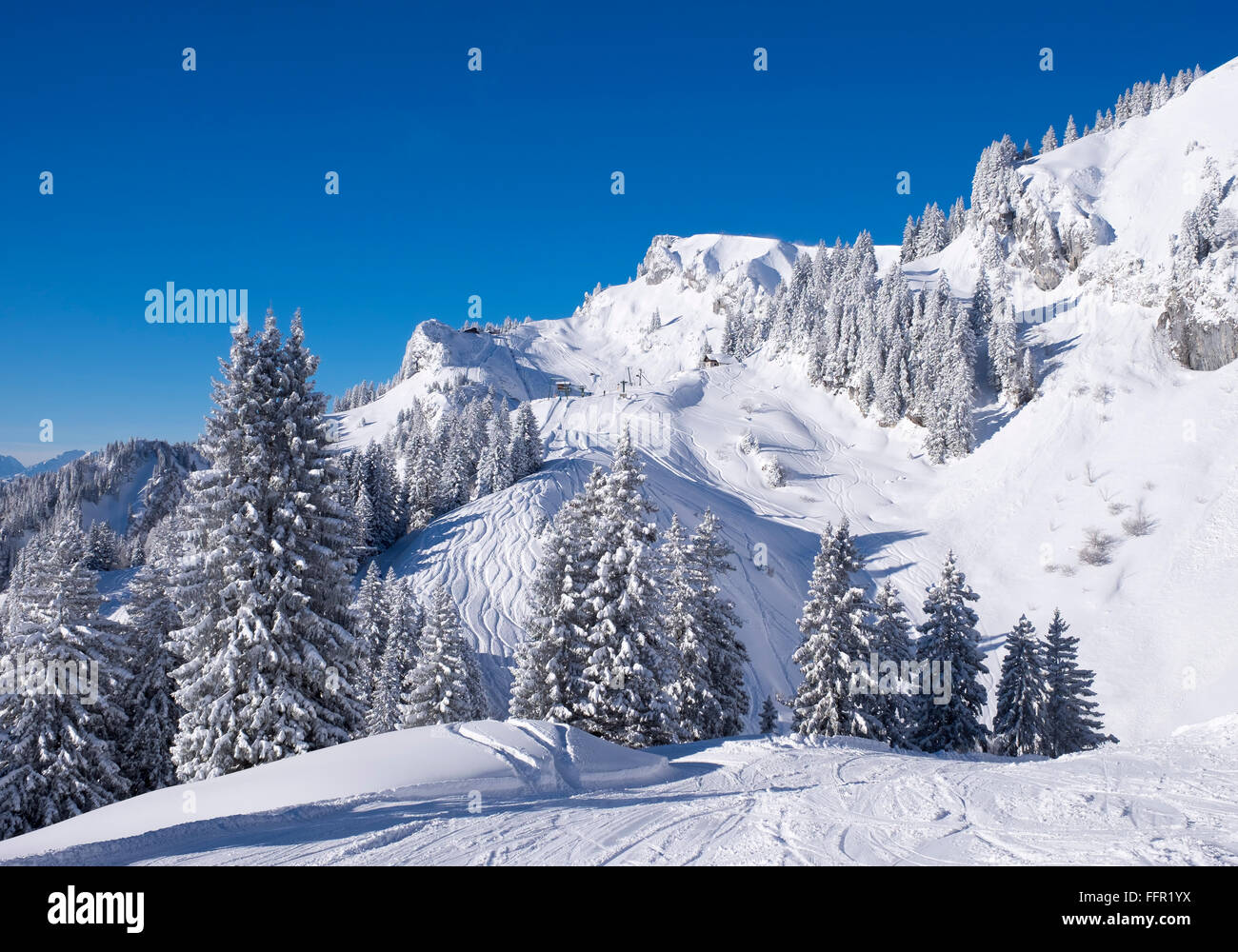 Latschenkopf und Idealhang-, Skigebiet Brauneck, Lenggries, Isarwinkel, Bayerische Voralpen, Upper Bavaria, Bavaria, Germany Stockfoto