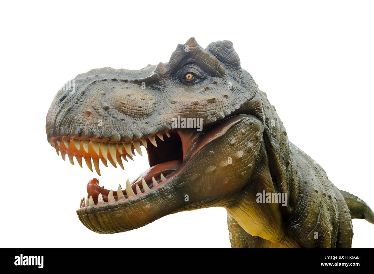 Aggressive T Rex Modell von Dinosauriern auf weißem Hintergrund. Stockfoto