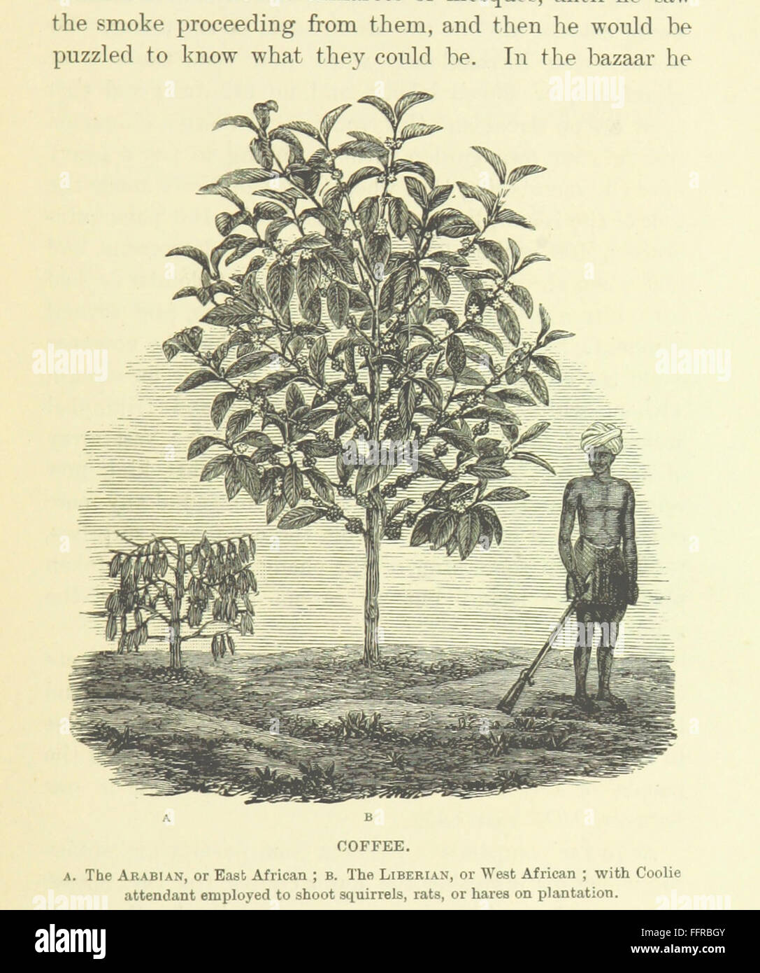 Dieses Vintage-Buch bietet einen Überblick über Ceylon (heute Sri Lanka) im Jahr 1893 und beschreibt die Kultur, Geographie und das soziale Leben der Insel. Es enthält sowohl Text als auch Illustrationen, die einen historischen Schnappschuss des Lebens auf der Insel während des späten 19. Jahrhunderts bieten und einen Einblick in die Kolonialzeit Ceylons geben. Stockfoto