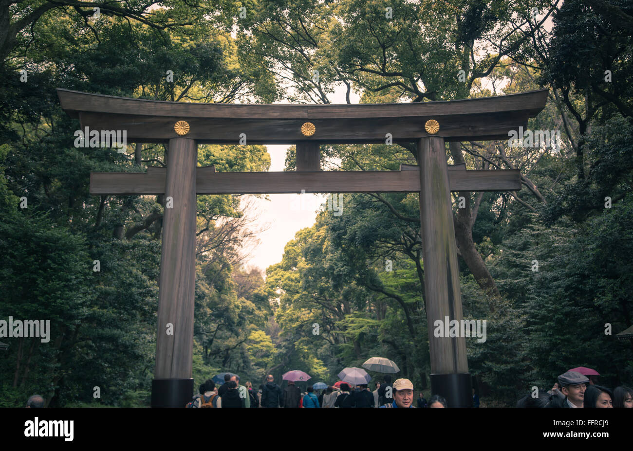 Das Torii-Tor am Eingang von der Meiji-Schrein in Tokio, Japan. Stockfoto