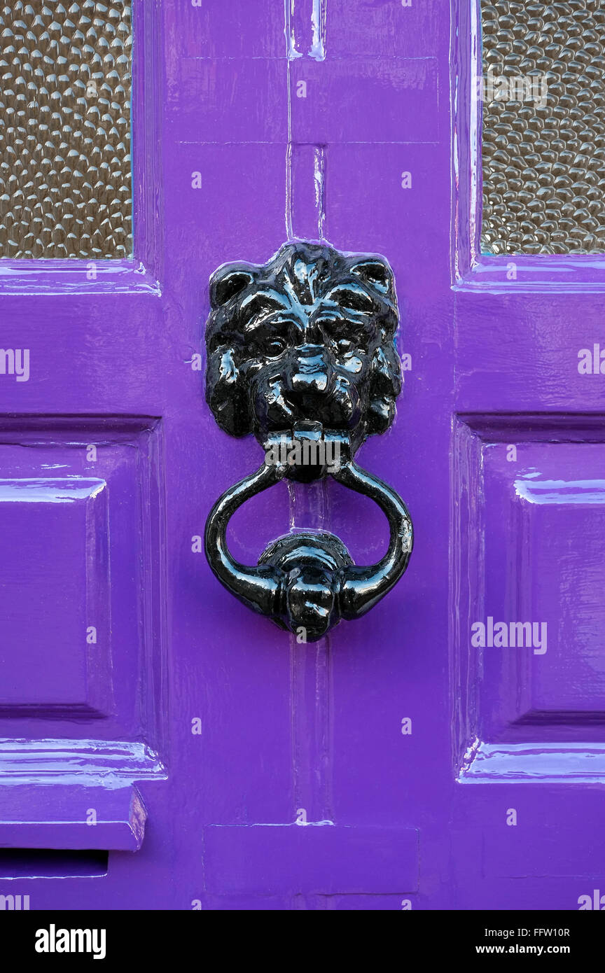 Schwarz bemalte Löwen Klopfer auf lila Haustür Stockfoto