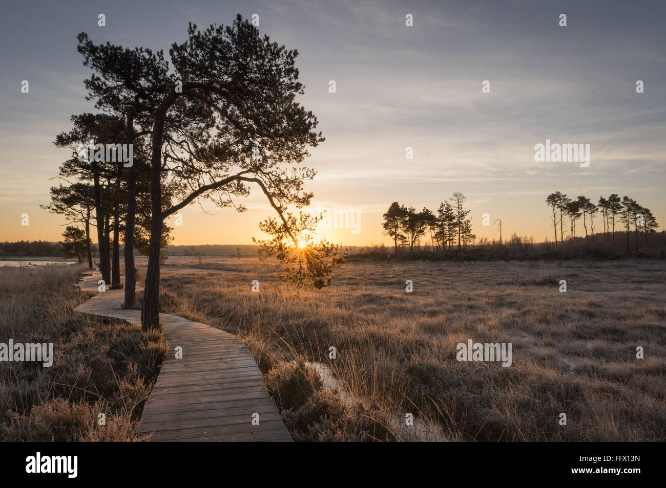 Sonnenaufgang über dem Thursley Common, Surrey... viel schöner jetzt alle Masten entfernt wurden. Stockfoto