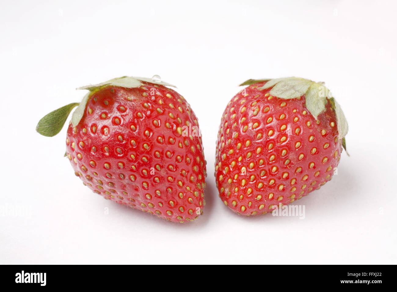 Frucht, Erdbeere Fragaria Ananassa auf weißem Hintergrund Stockfoto