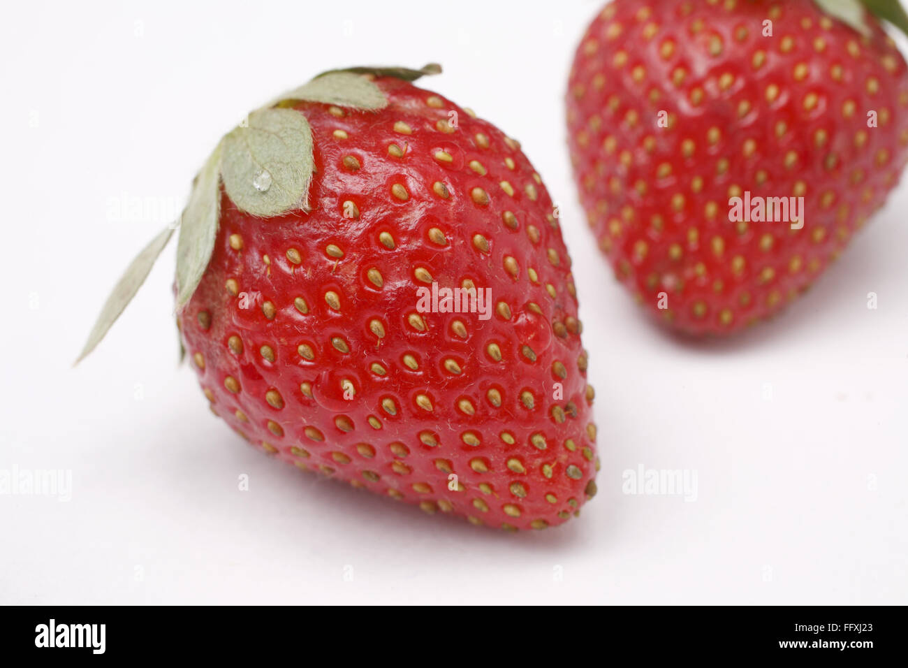 Frucht, Erdbeere Fragaria Ananassa auf weißem Hintergrund Stockfoto