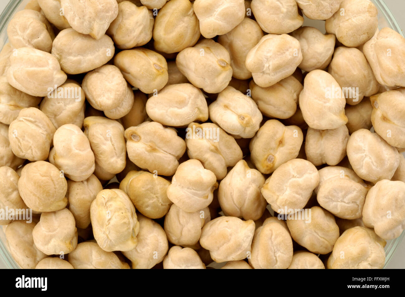 Getreide, Puls Kichererbsen Küken Erbse Chana oder Channa Cicer arietinum Stockfoto