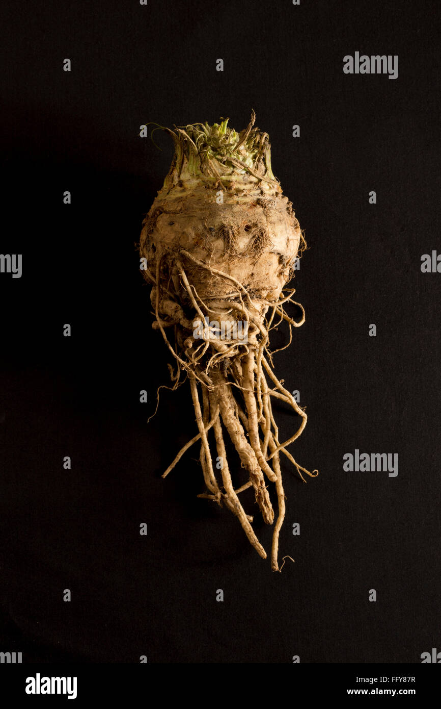 Ugly Stockfotos und bilder Kaufen Alamy