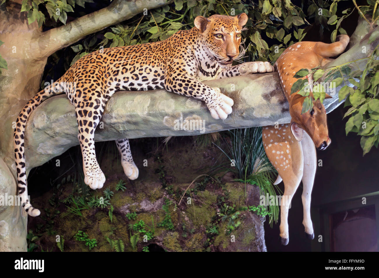 Künstlichen Szene reservieren Pench Tiger Waldmuseum, Maharashtra, Indien Stockfoto
