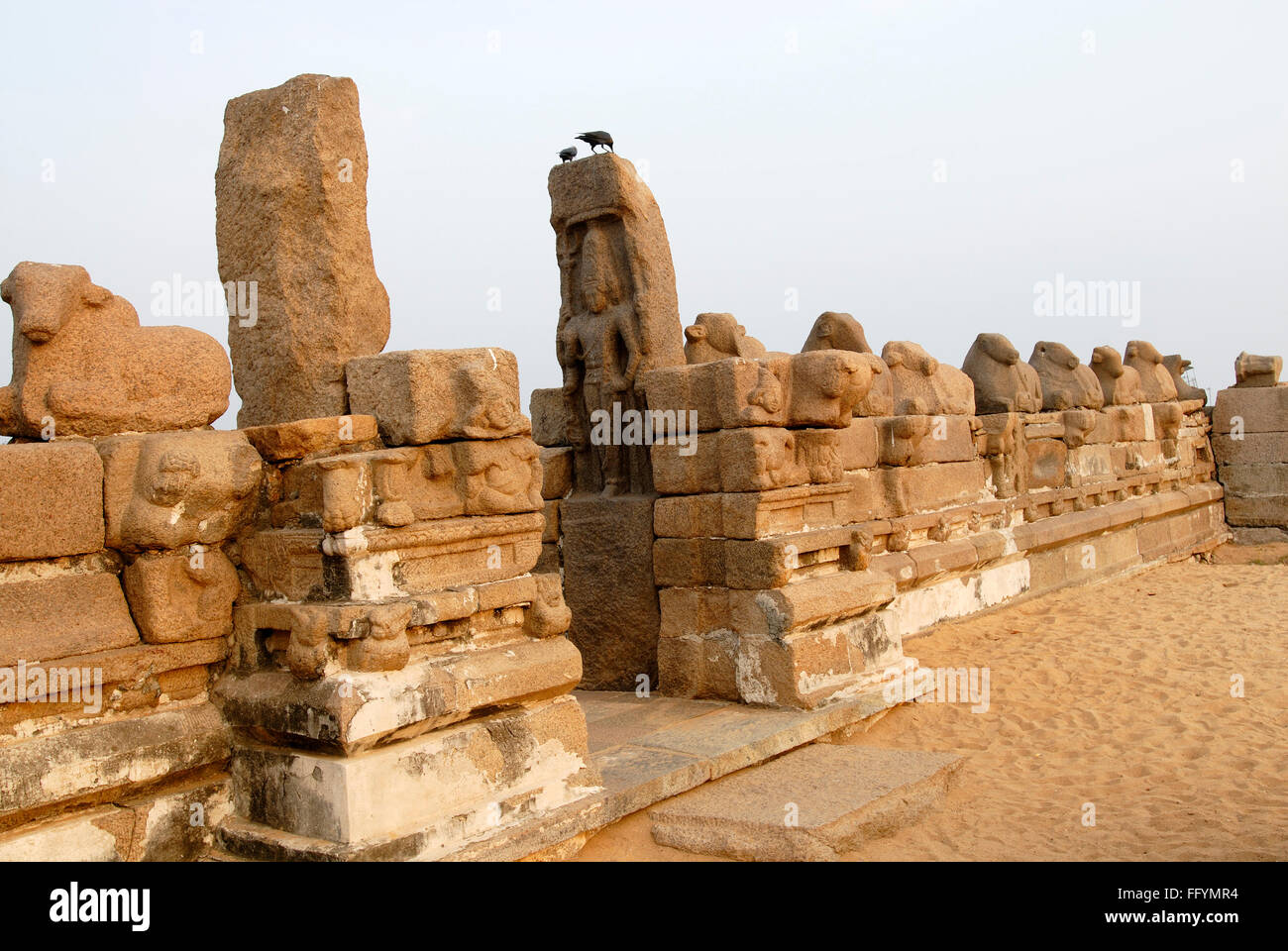 Shore Tempel in Mahabalipuram gehört zu den ältesten Tempel, umgeben von Zeile der Bulls geschnitzt aus Fels Mahabalipuram Tamil Nadu Stockfoto