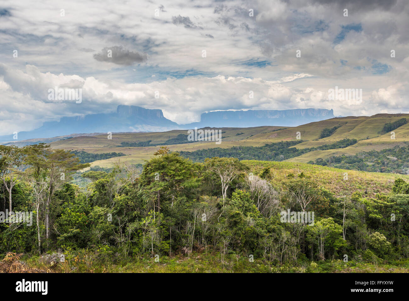 Tablemountain Roraima mit Wolken, Venezuela, Lateinamerika. Stockfoto