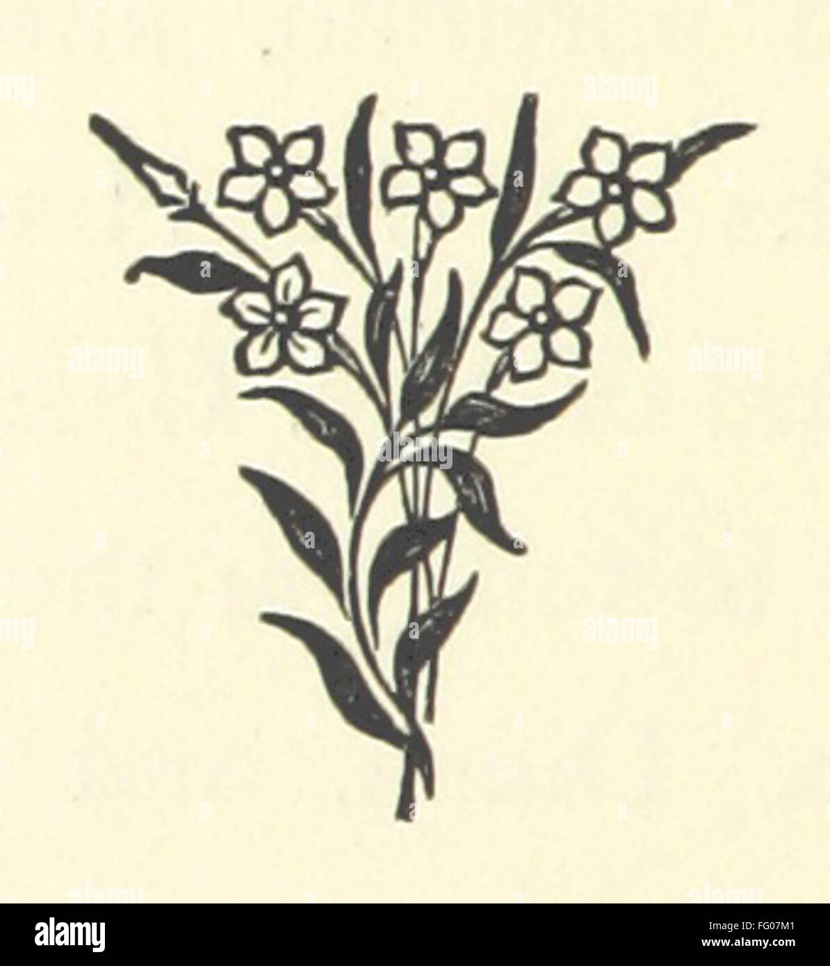 54. Ausgabe von "die Frau des Bischofs", einem Roman, der eine Skizze des Lebens einer Frau eines Bischofs enthält und soziale und persönliche Themen untersucht. Stockfoto