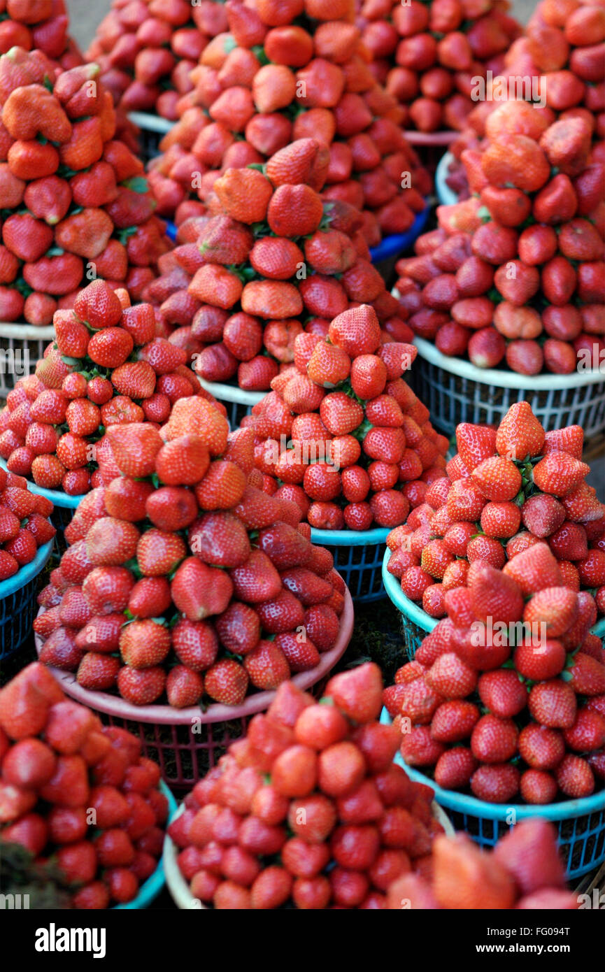 Obst, Erdbeeren Fragaria Ananassa zum Verkauf in blauen Korb Stockfoto
