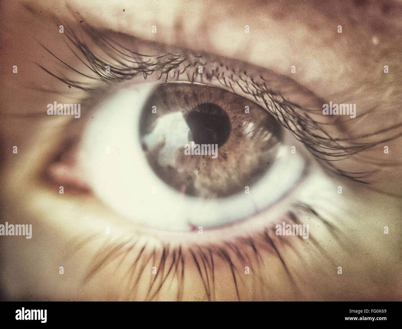 Das Menschliche Auge Stockfotos und -bilder Kaufen - Alamy