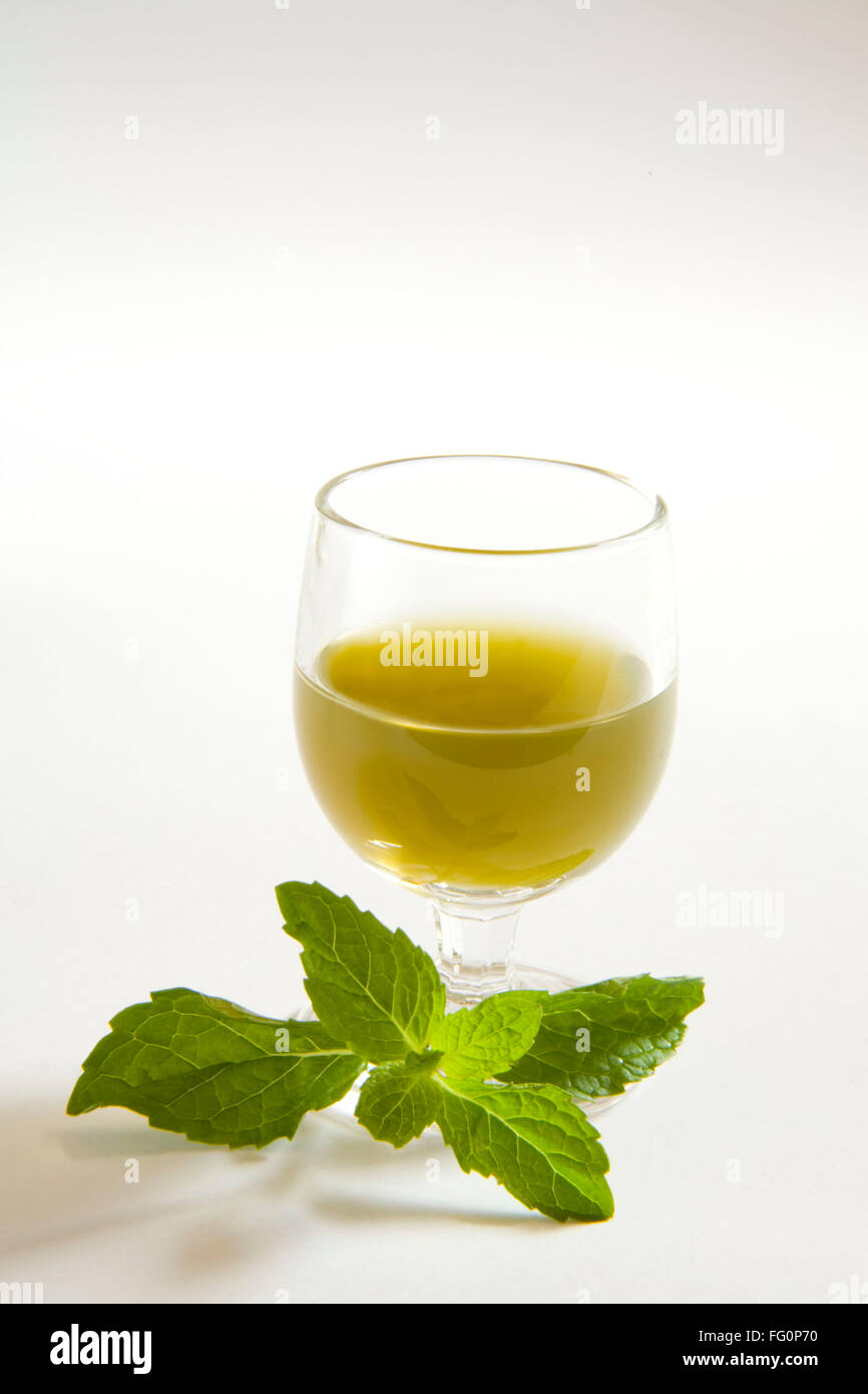 Grüne Gewürze Minze Saft vor weißem Hintergrund, Pudina ka Rus, Indien Stockfoto