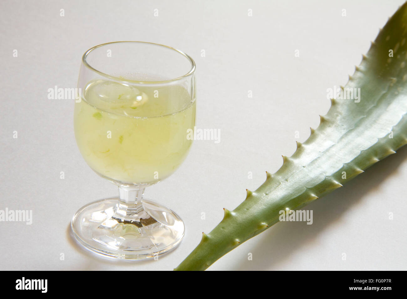 Wilde Pflanze Aloe Vera Gel und Saft mit wunderbaren heilenden Eigenschaften, Indien Stockfoto
