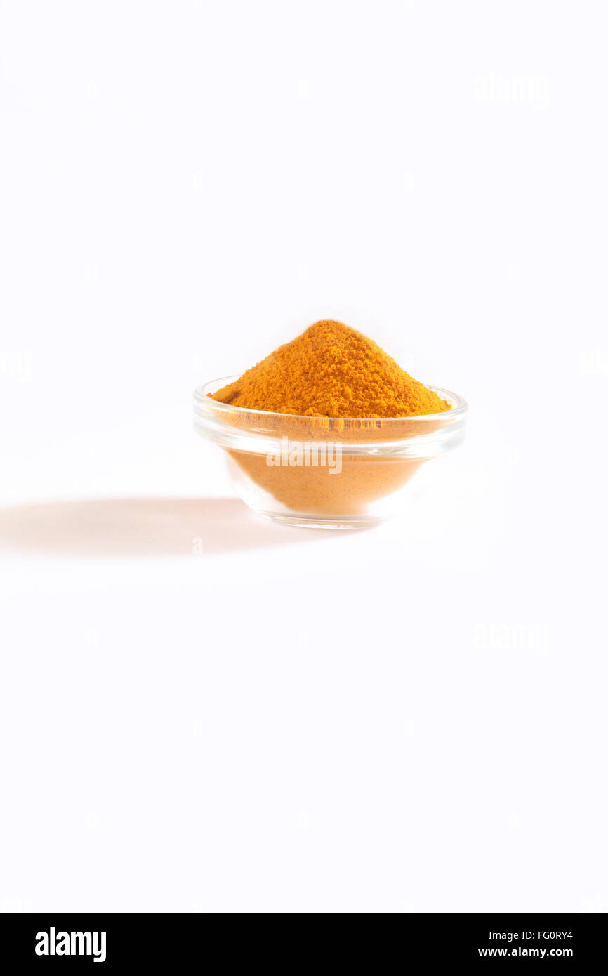 Indisches Gewürz Kurkumapulver Haldi Curcuma Longa in Schüssel auf weißem Hintergrund Stockfoto