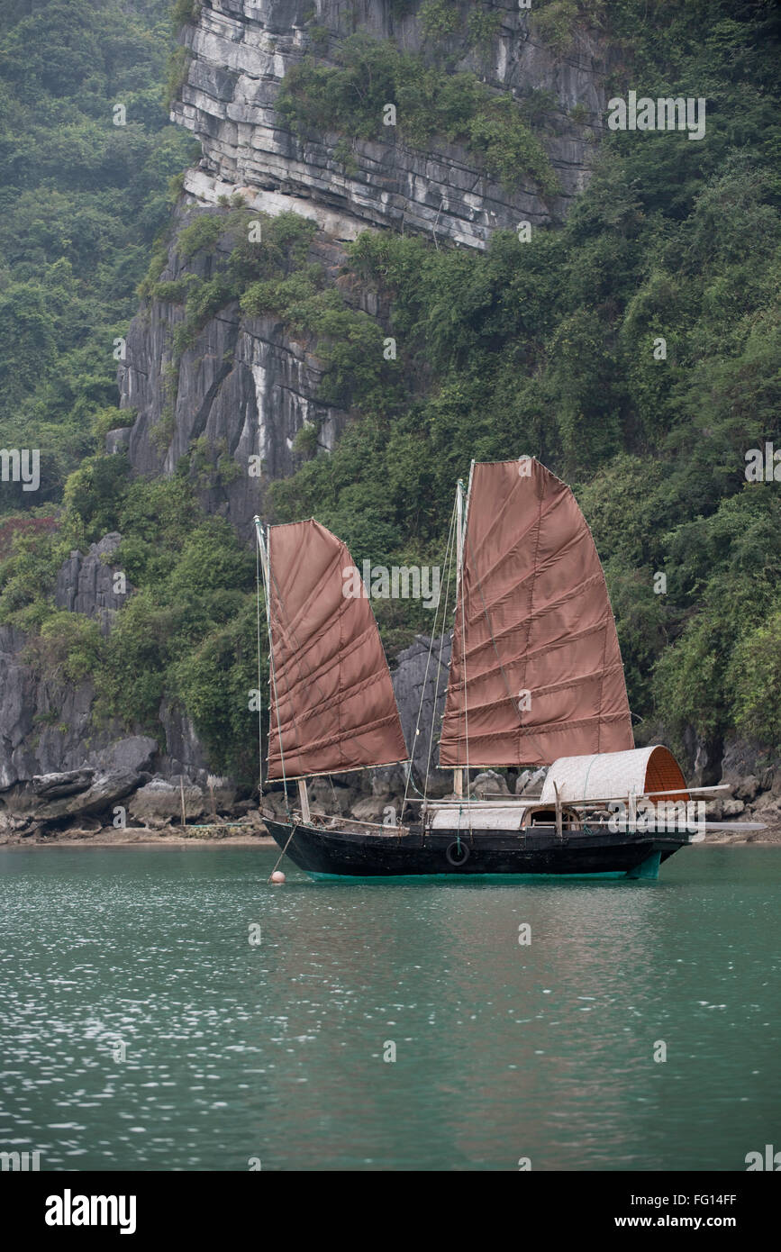 Ein Zwilling segelte Junk-vor Anker in einem Fischerdorf in Halong-Bucht, Nord-Vietnam Stockfoto