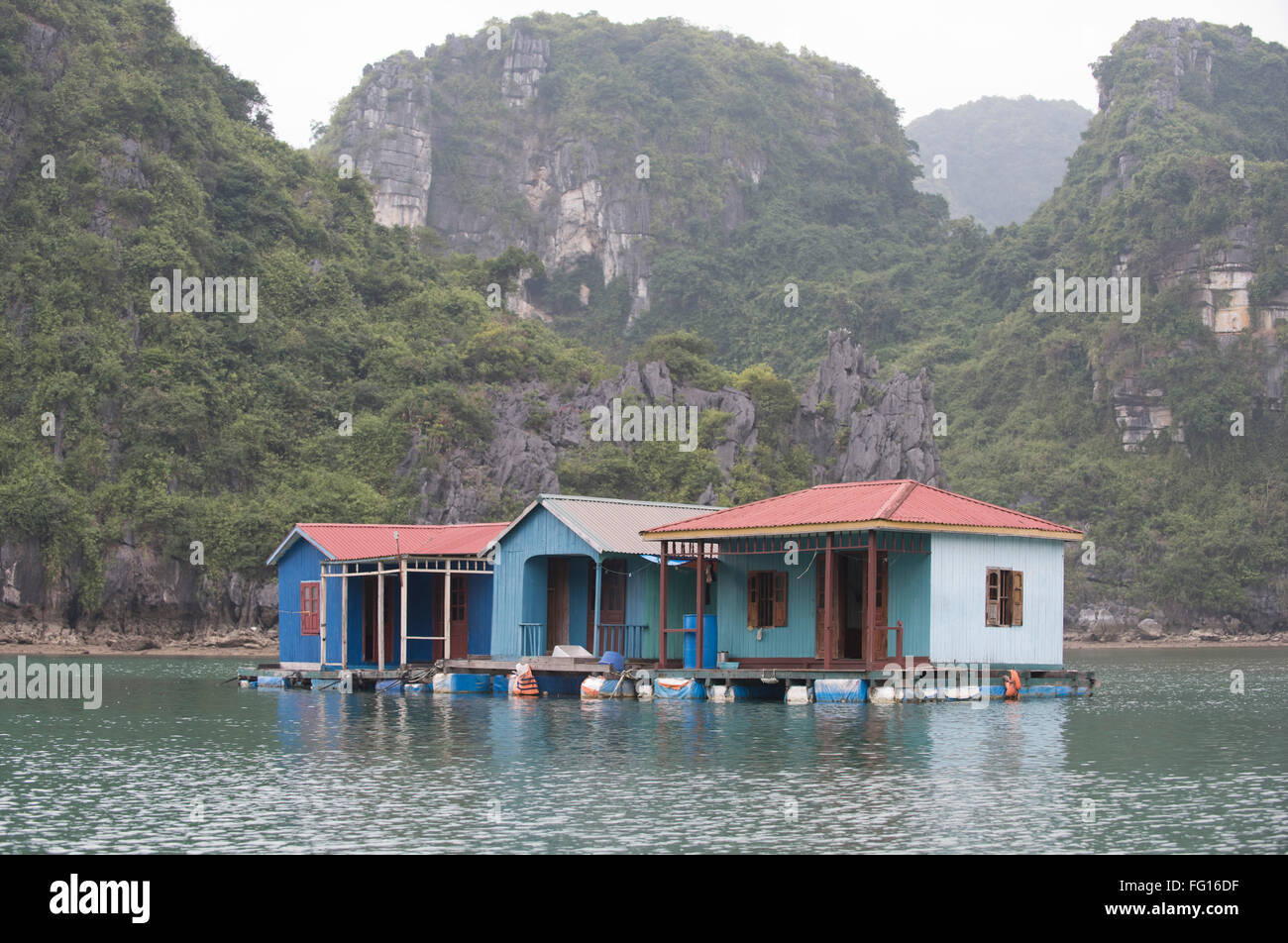 Schwimmende Häuser in einem Fischer- und Perle Dorf in Halong-Bucht im Norden Vietnams Stockfoto