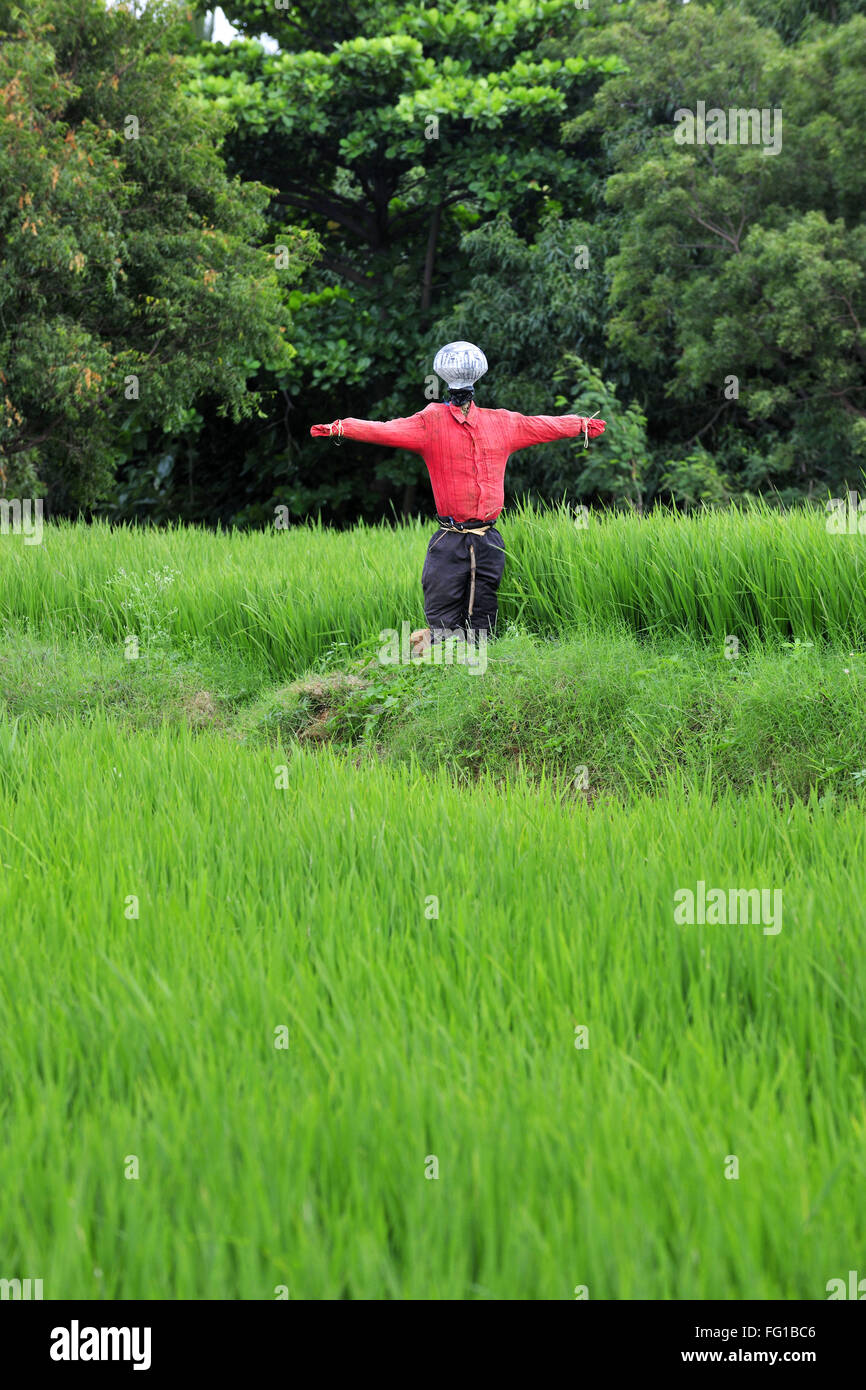 Feld Landschaft Hampi Karnataka Indien Asien Oktober 2010 Stockfoto