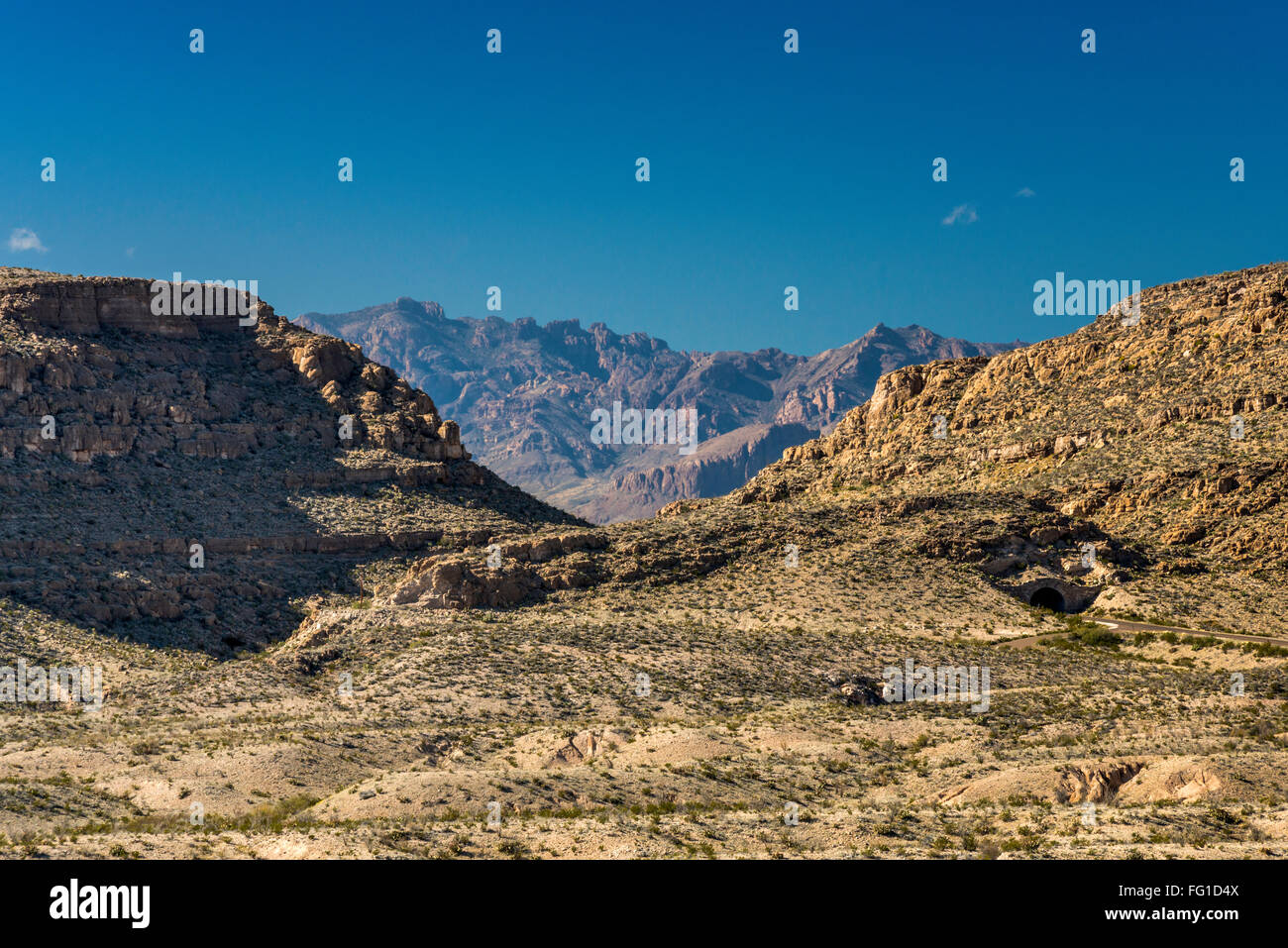 Chisos Mountains über Chihuahuan Wüste, Blick vom Rio Grande Village Drive, Big Bend National Park, Texas, USA Stockfoto