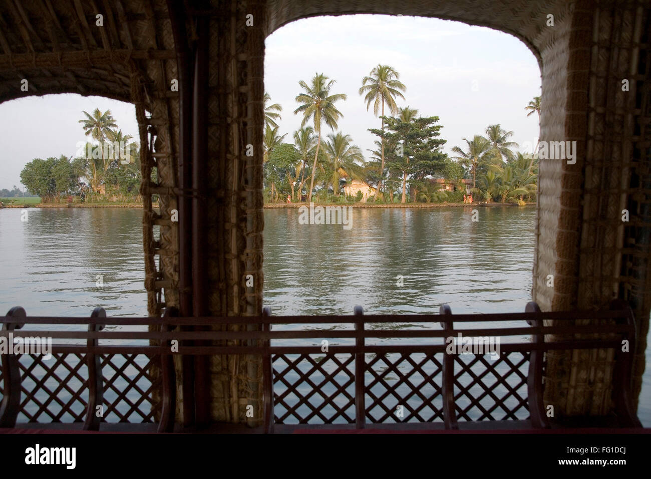Kokospalmen, Blick durch Fenster des Luxus-Hausboot in den Backwaters, Alleppey, Kerala, Indien Stockfoto