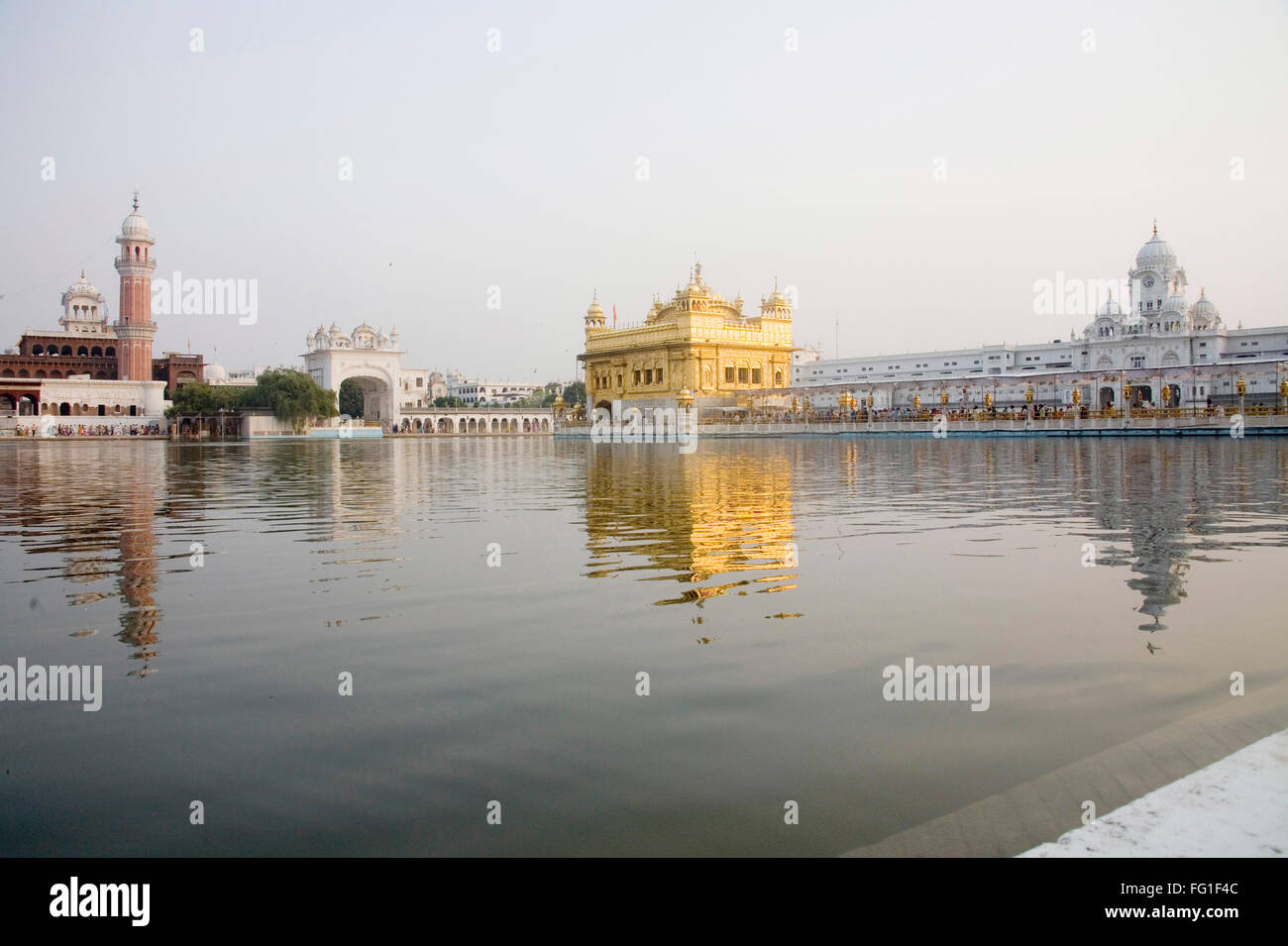 Harimandir Sahib Swarn Mandir oder Goldener Tempel, Amritsar, Punjab, Indien Stockfoto