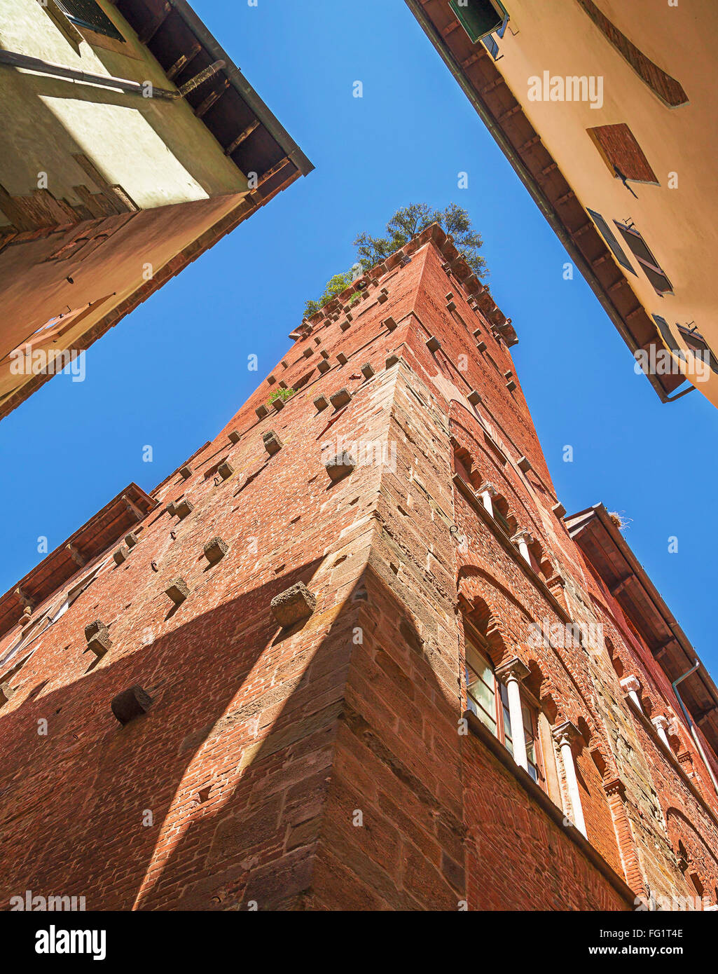 Guinigi Tower Fassade, berühmten Denkmal in der Altstadt von Lucca