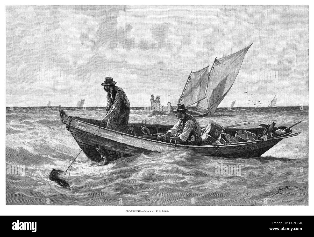 ANGELN, 1885. /n'Cod-Fishing. 