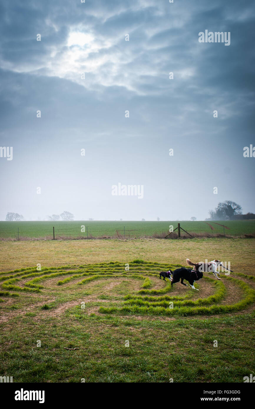 Familien warten total Solar eclipse bei Sonnenaufgang, gesehen bei Rollright Stones, in der Nähe von Chippng Norton, Oxfordshire, Vereinigtes Königreich Stockfoto