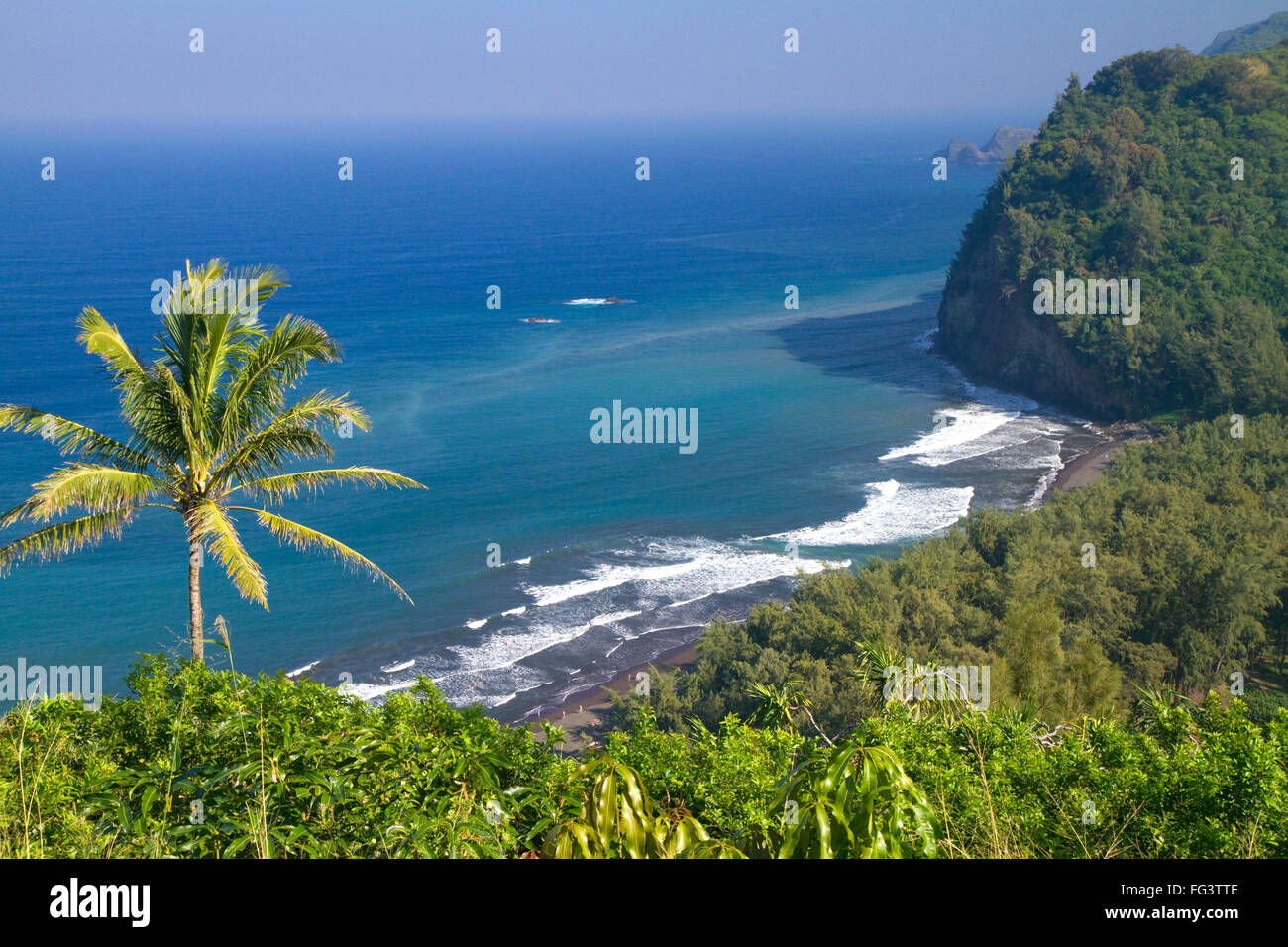 Blick auf den Pazifischen Ozean und einem schwarzen Sandstrand im Pololu Valley an der Ostküste der Kohala Berg auf der Big Island von Stockfoto