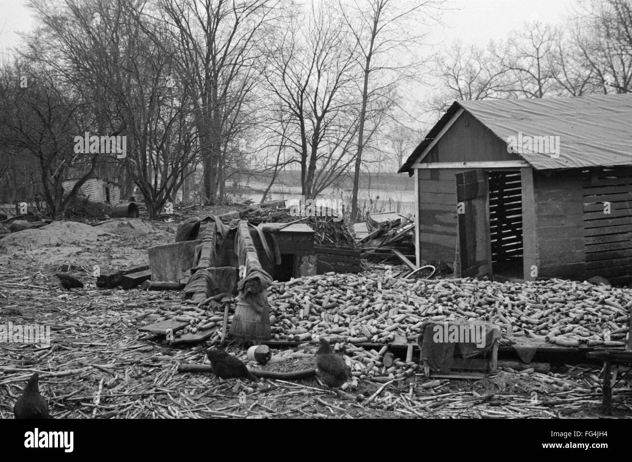 MASSACHUSETTS: FLUT, 1936. NUM zerstört Scheune in Hatfield, Massachusetts, nach der Flut des Connecticut River. Foto von Paul Carter, März 1936. Stockfoto