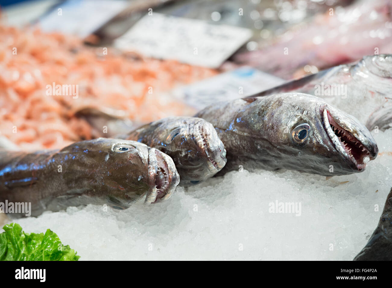 Drei große Fische auf dem Interbankenmarkt zu verkaufen Stockfoto