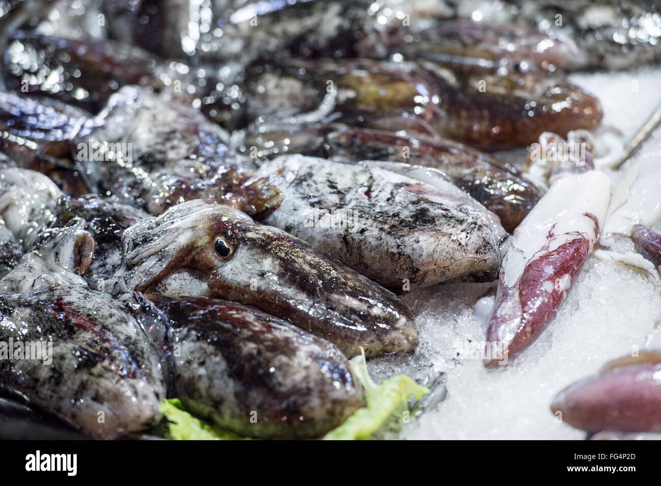Traditionelle Gerichte werden Spahetti mit schwarzen Tintenfisch zubereitet Stockfoto