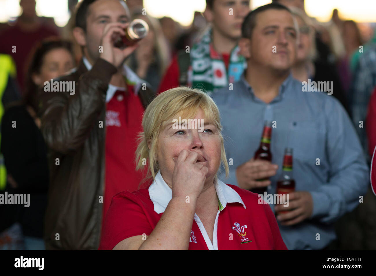 Leidenschaftliche Wales Rugby-Fans sehen Wales während der Rugby-Weltmeisterschaft 2015 in der Fanzone Cardiff in Cardiff, Südwales. Stockfoto