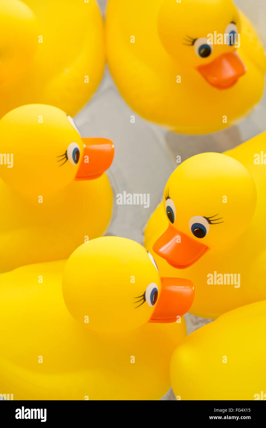 Gummienten auf dem Wasser schwimmt Stockfoto