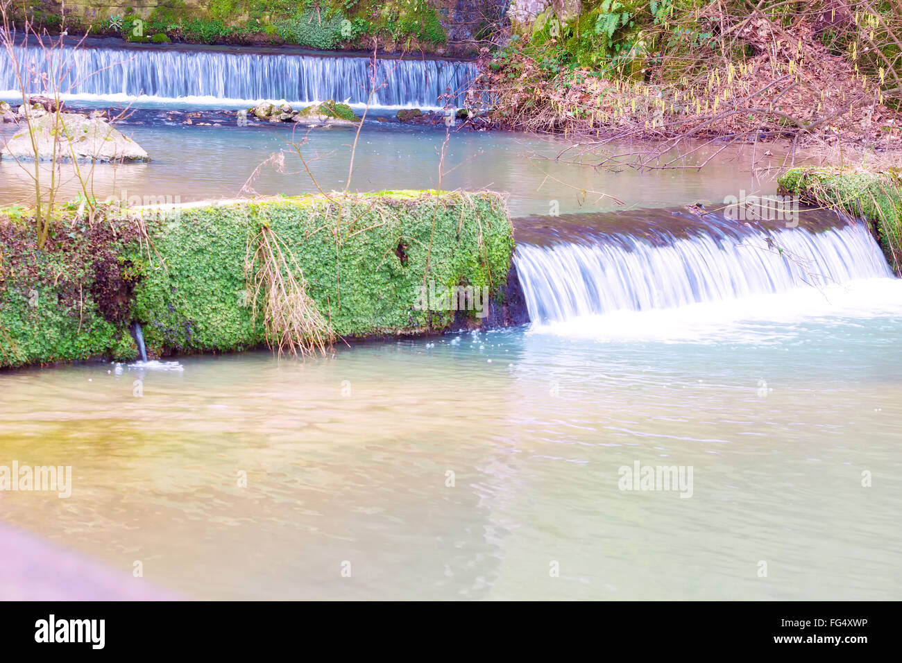 Herrliche Natur Stockfoto