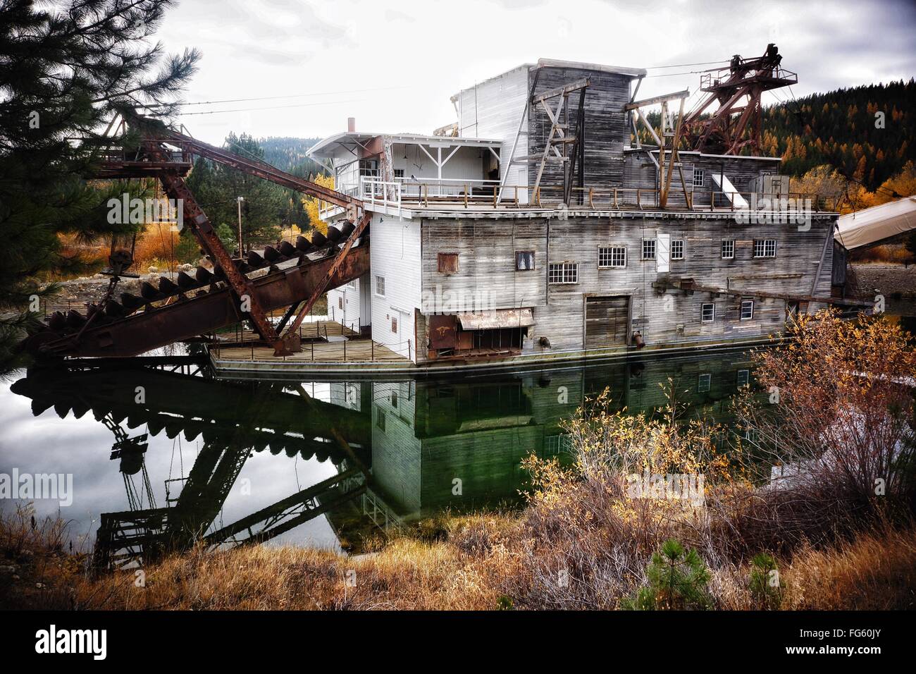 Goldbagger geschichte -Fotos und -Bildmaterial in hoher Auflösung – Alamy