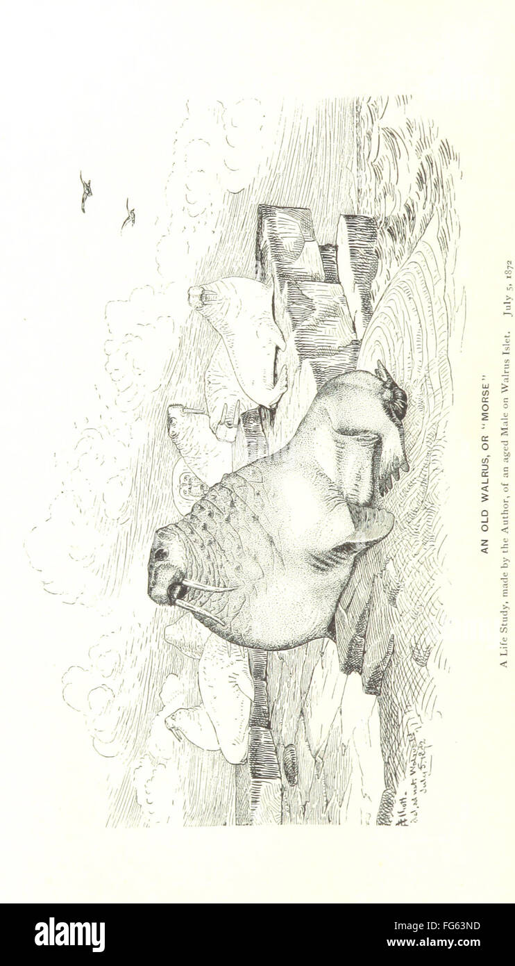 „Our Arctic Province“ konzentriert sich auf Alaska und die Seal Islands und bietet einen illustrierten Überblick über die natürlichen Landschaften, die Tierwelt und die Erkundung der Region. Das Buch enthält Zeichnungen und Karten, die die einzigartige Umgebung und die Herausforderungen der arktischen Region hervorheben. Stockfoto