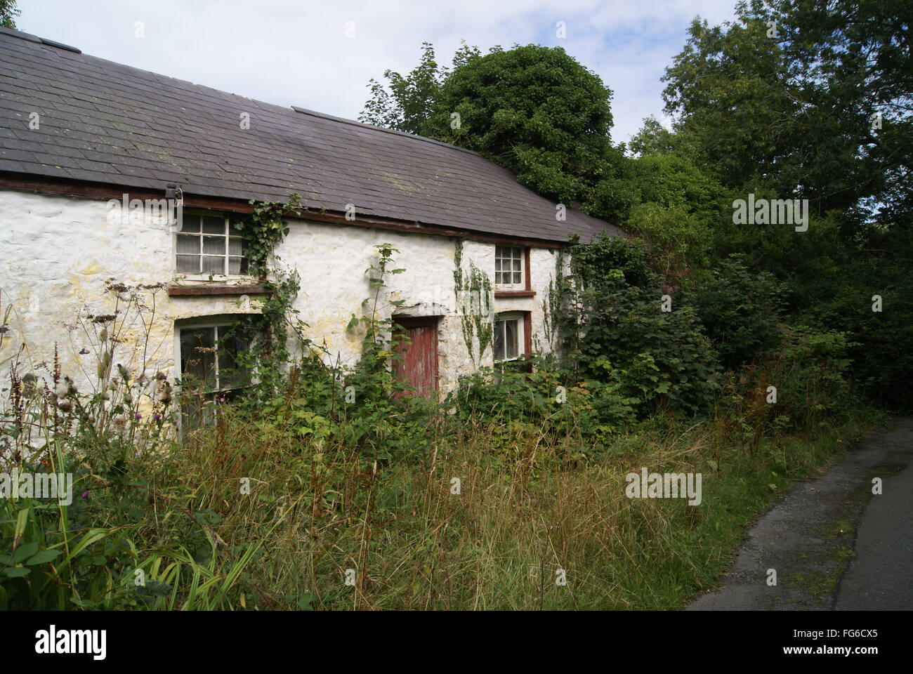 verfallene Hütte im Land Lane South west Wales Stockfoto