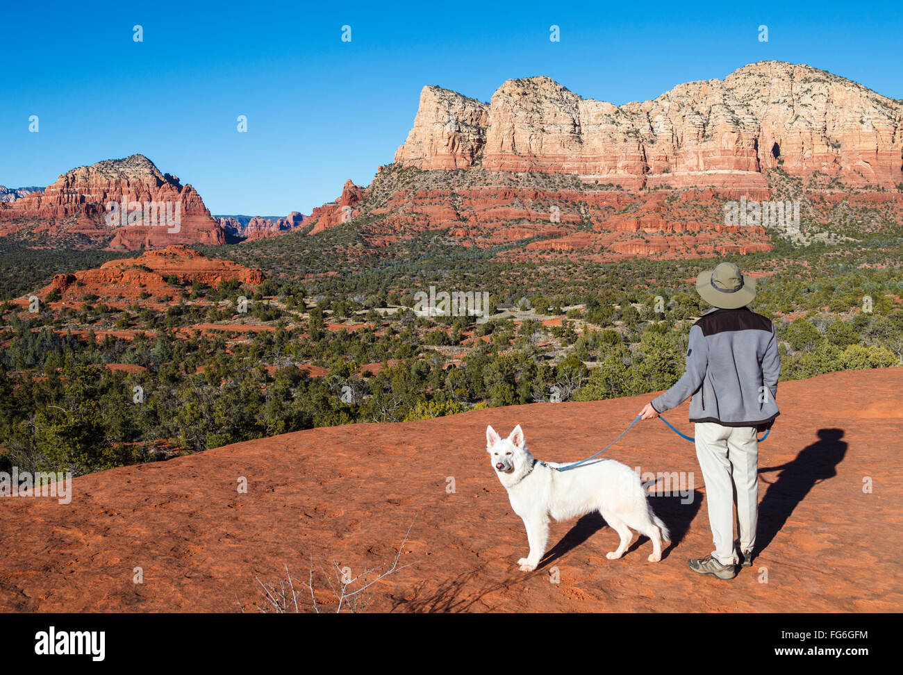 Wanderer und Hund am Aussichtspunkt erreicht über den Trail Bell Rock Klettern Stockfoto