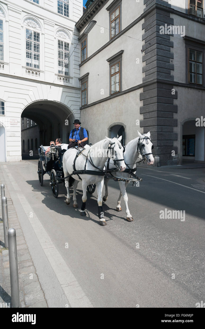 Kutsche mit Pferden; Wien, Österreich Stockfoto