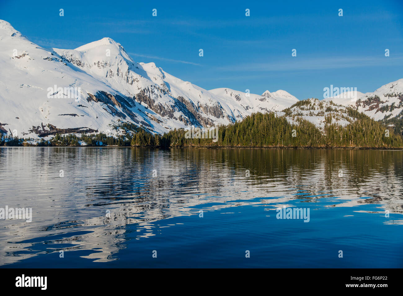 Schneebedeckte Klippen und immergrünen Bäumen gebadet im Abendlicht auf dem Ufer von Kings Bay, Prinz-William-Sund Stockfoto