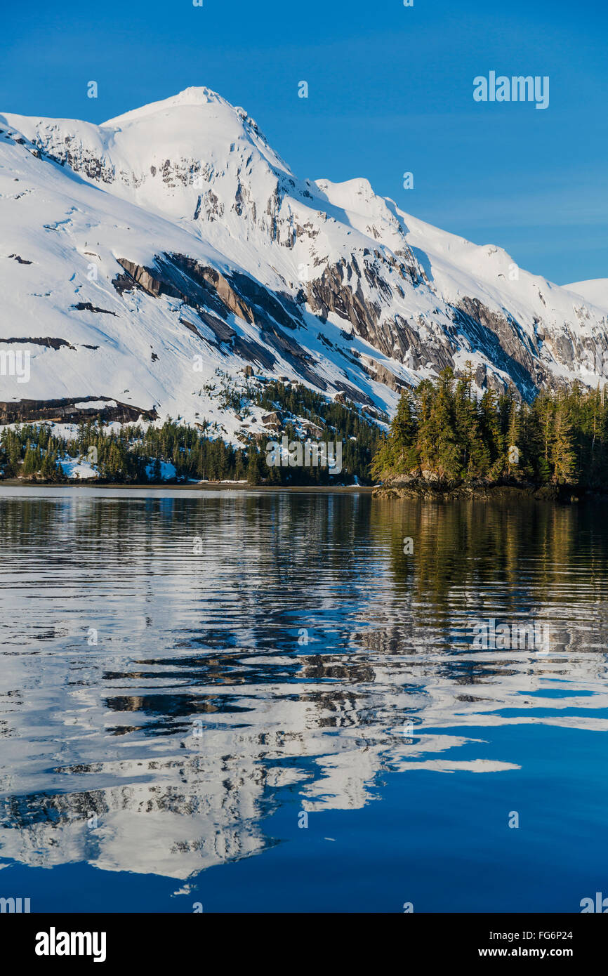 Schneebedeckte Klippen und immergrünen Bäumen gebadet im Abendlicht auf dem Ufer von Kings Bay, Prinz-William-Sund Stockfoto