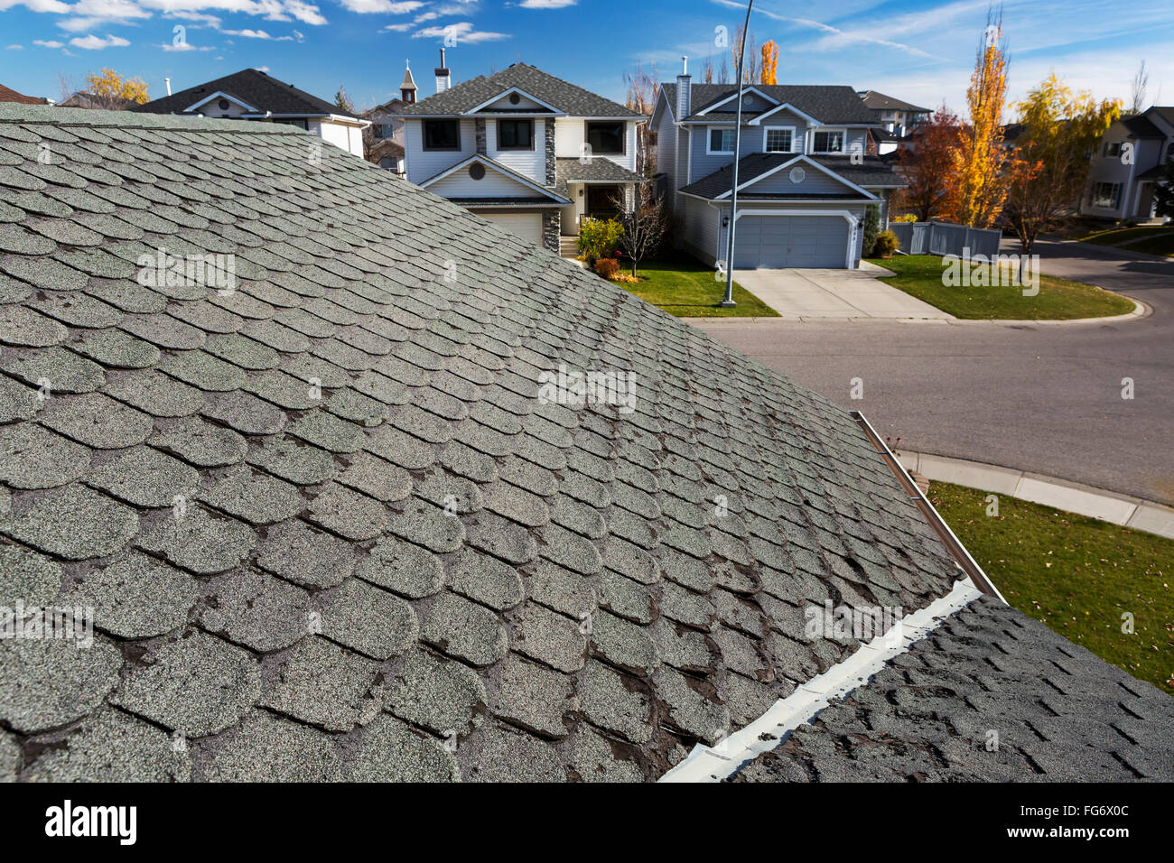 Detail der gut getragen abgerundetes Dachschindeln mit Nachbarschaft Häuser, Herbstfärbung, blauer Himmel und Wolken im Hintergrund; Calgary, Alberta, Kanada Stockfoto