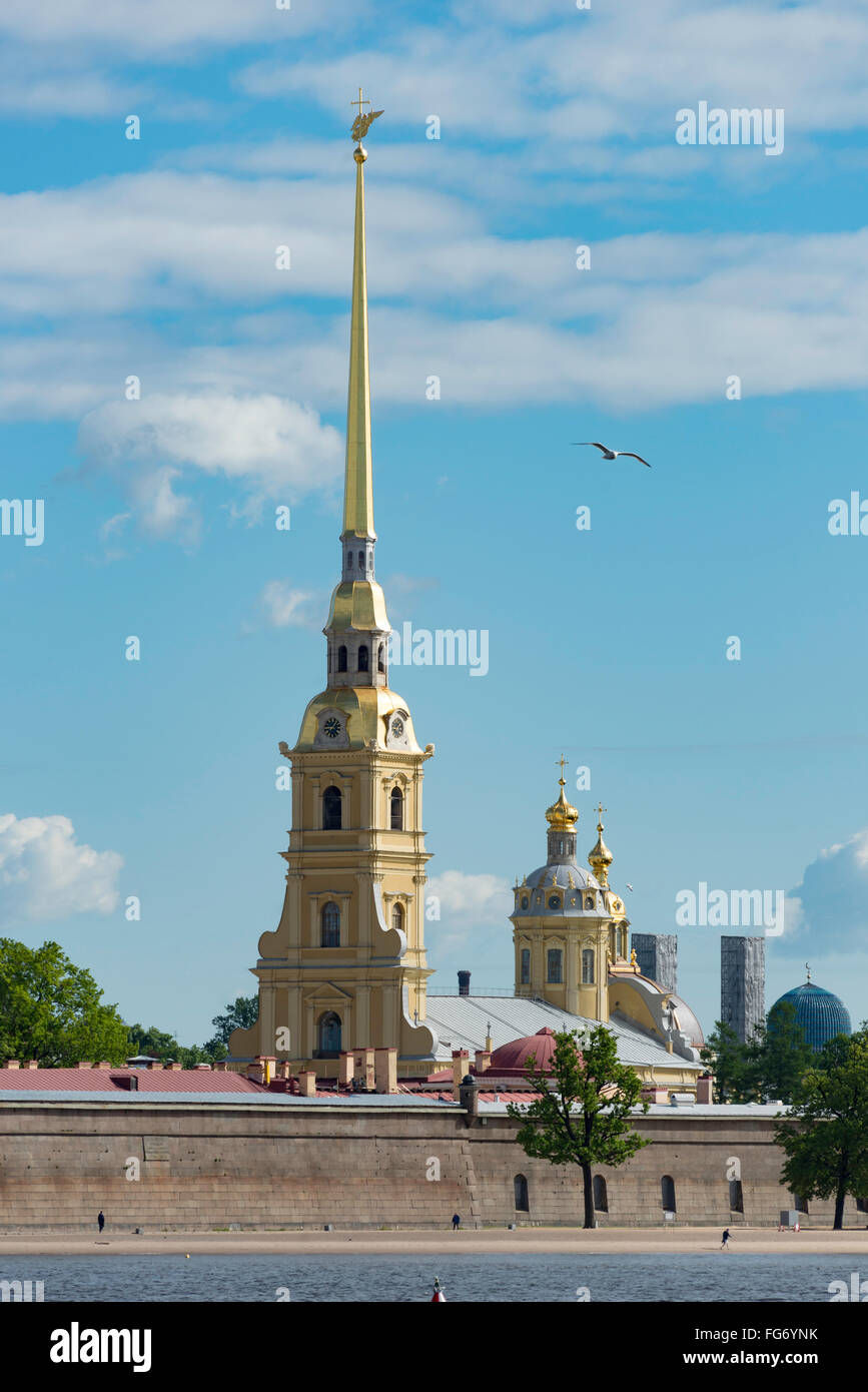 Die Kathedrale von St. Peter und Paul über Fluss Newa aus Zayachy Insel, Sankt Petersburg, nordwestliche Region, Russland Stockfoto