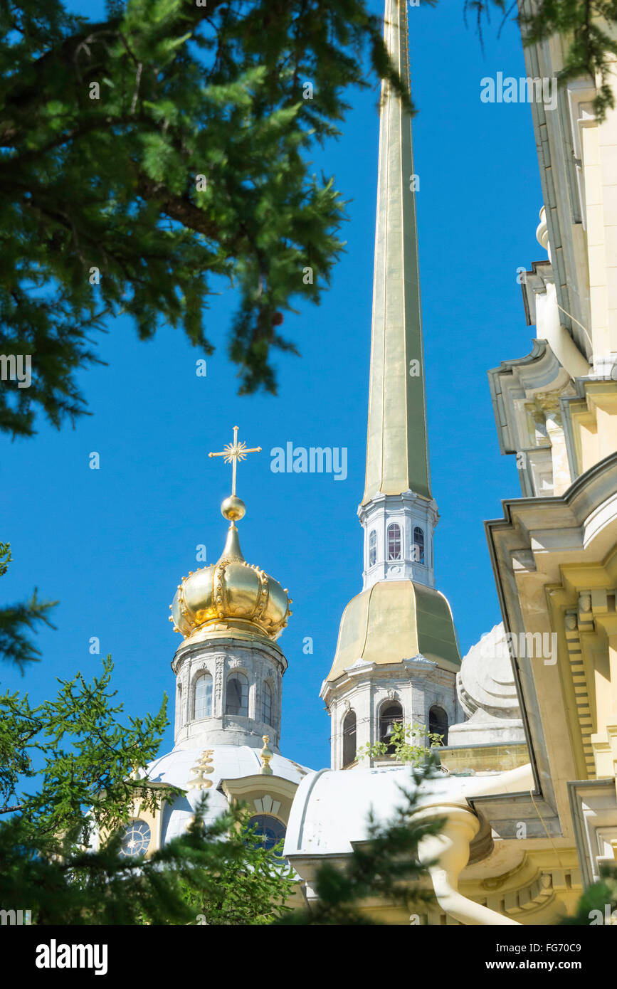 Der Glockenturm der Kathedrale St. Peter und Paul, Zayachy Insel, Sankt Petersburg, Nordwesten, Russische Republik Stockfoto